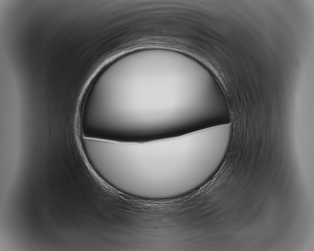 X0000098151531200804171146