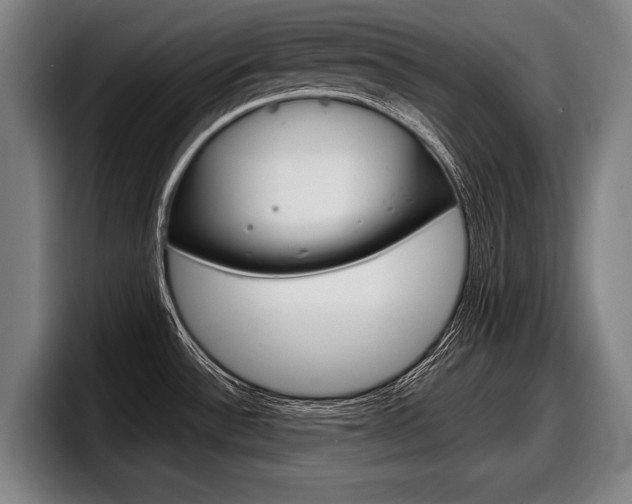 X0000098151532200804171146