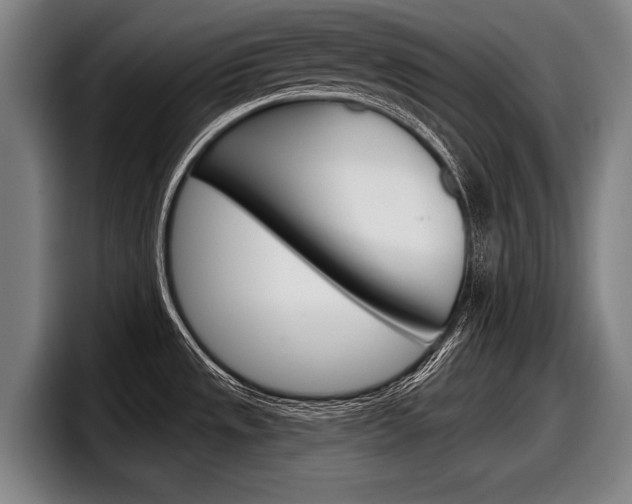 X0000098151533200804171146
