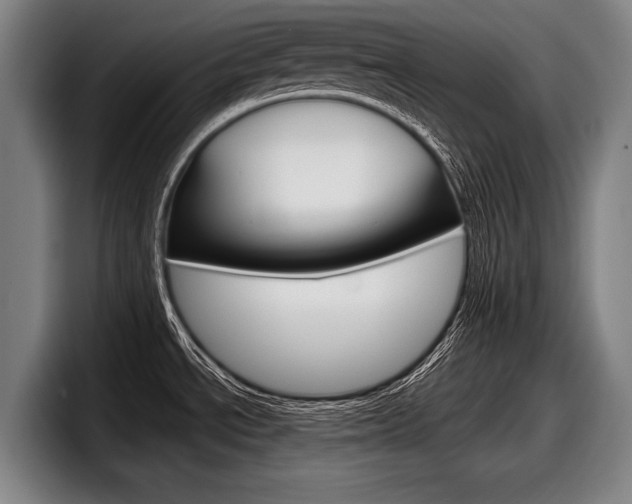 X0000098151534200804171146
