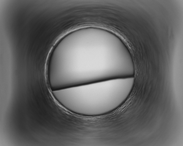 X0000098151535200804171146