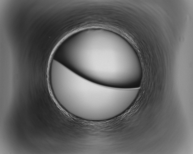 X0000098151536200804171146
