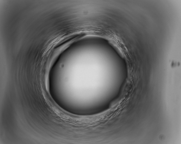 X0000098150001200804171624