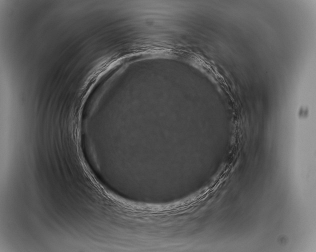 X0000098150002200804171624