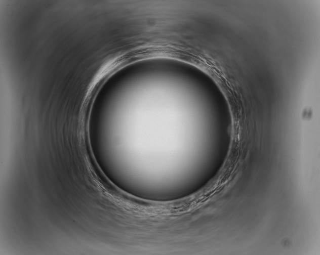 X0000098150004200804171624