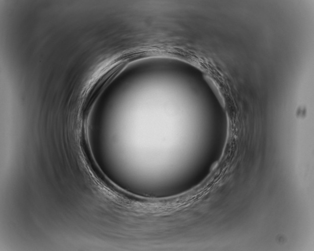 X0000098150005200804171624