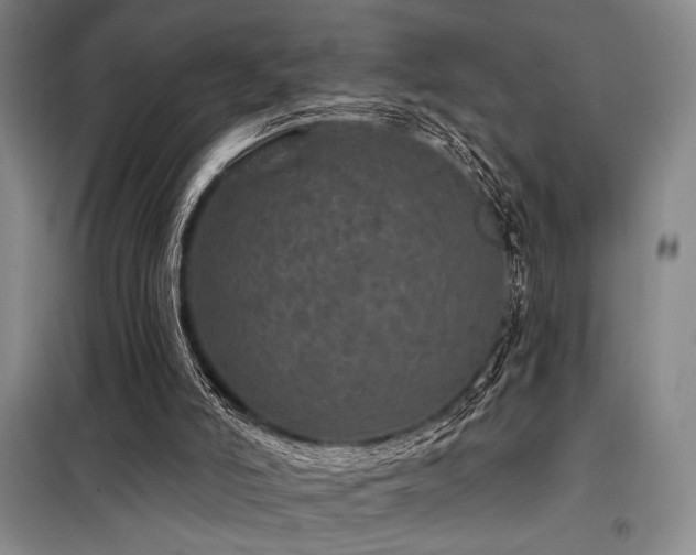 X0000098150006200804171624