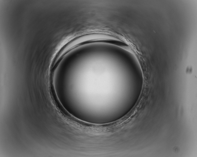 X0000098150008200804171624