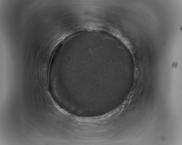 X0000098150009200804171624