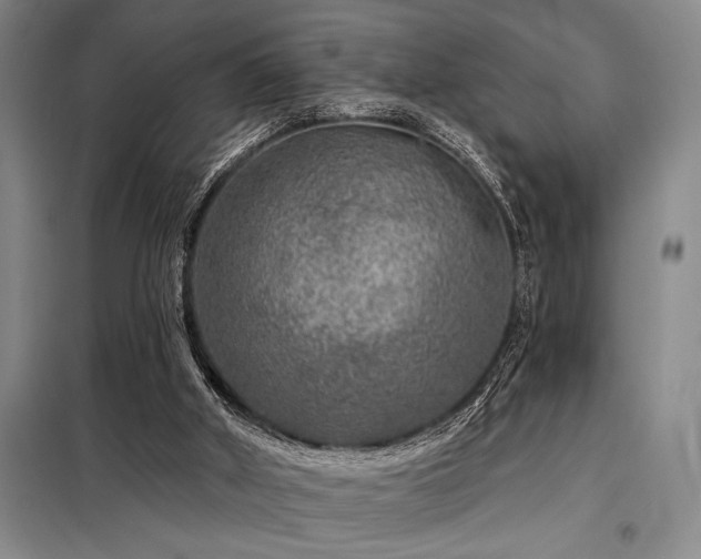 X0000098150010200804171624