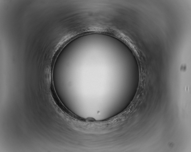 X0000098150011200804171624