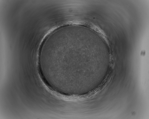 X0000098150012200804171624