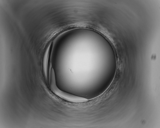 X0000098150013200804171624