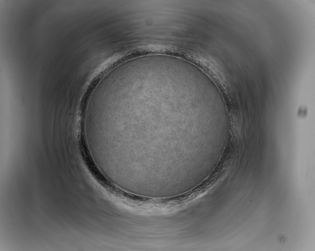 X0000098150016200804171624