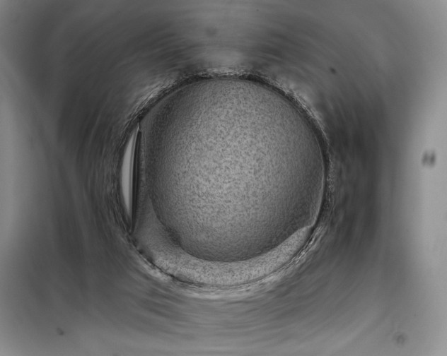 X0000098150017200804171624