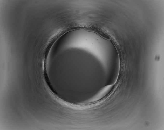 X0000098150019200804171624