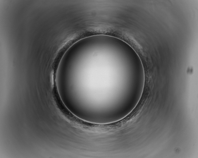 X0000098150020200804171624
