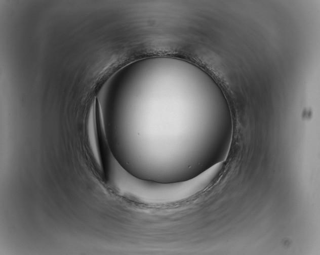 X0000098150021200804171624