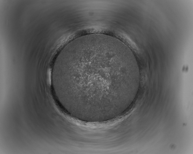 X0000098150022200804171624