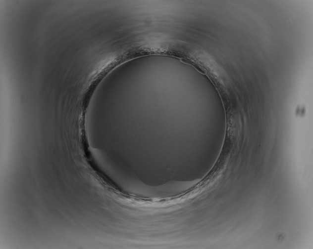 X0000098150023200804171624