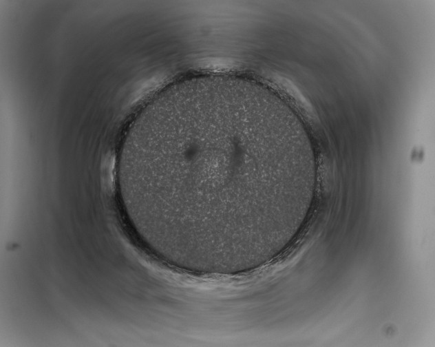 X0000098150024200804171624