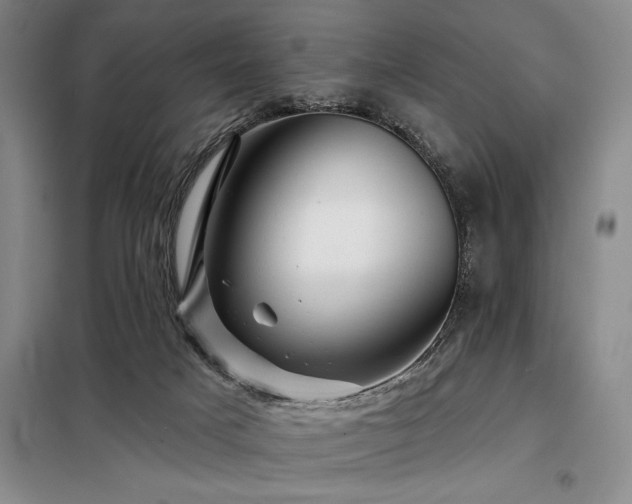 X0000098150025200804171624
