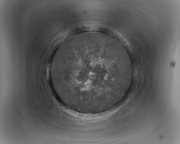 X0000098150026200804171624