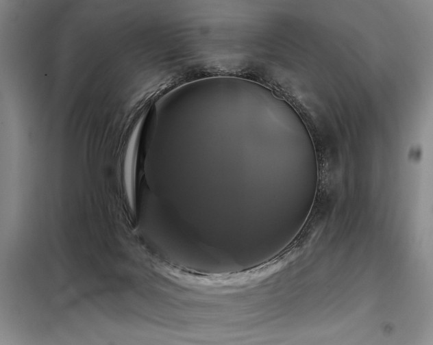 X0000098150027200804171624