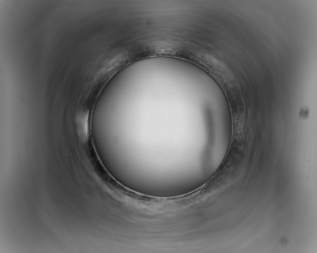 X0000098150028200804171624