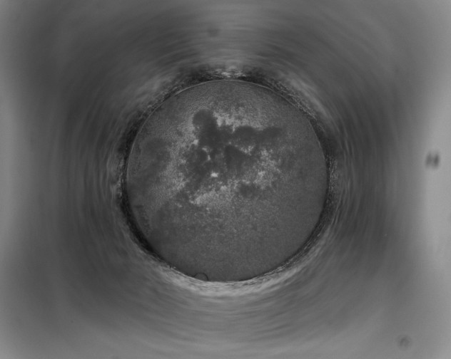 X0000098150030200804171624