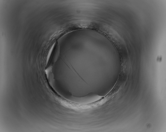X0000098150031200804171624