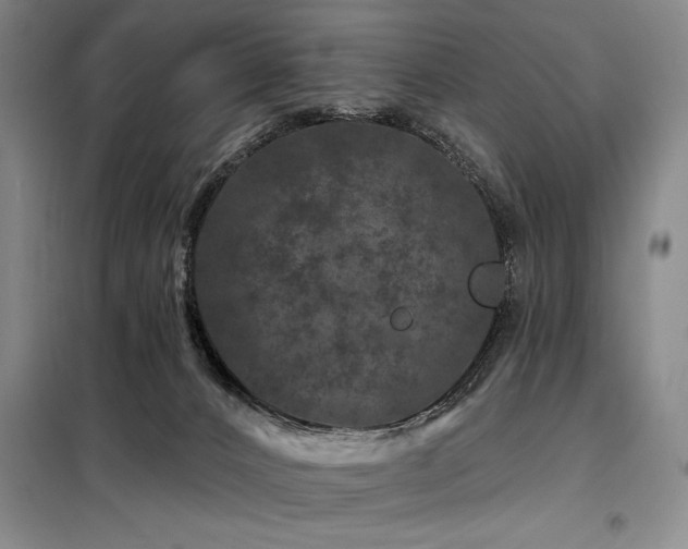 X0000098150032200804171624