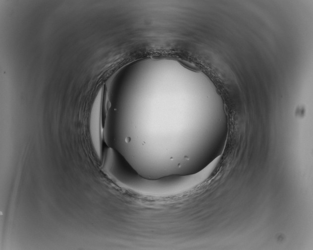 X0000098150033200804171624