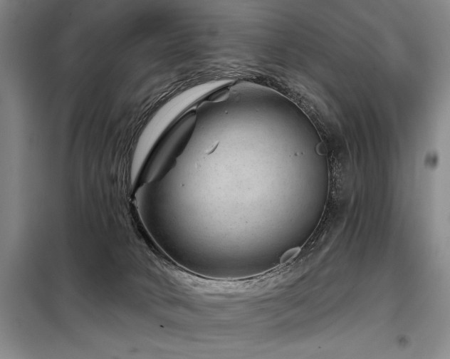 X0000098150034200804171624