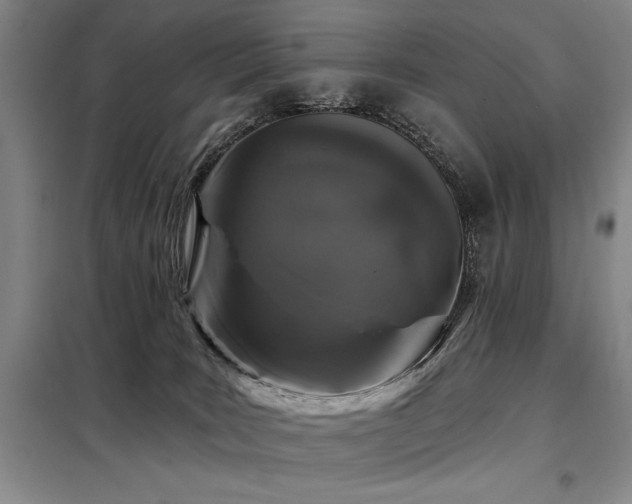 X0000098150035200804171624