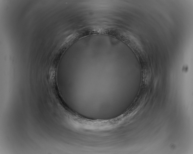 X0000098150036200804171624