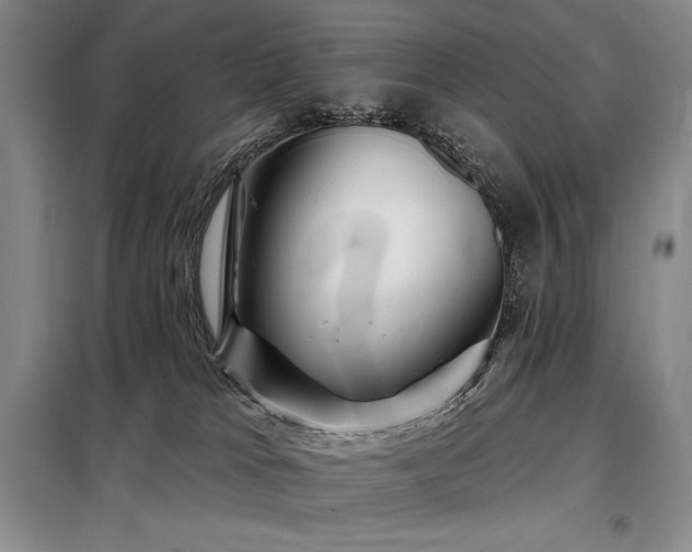 X0000098150037200804171624