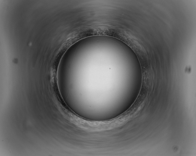 X0000098150038200804171624