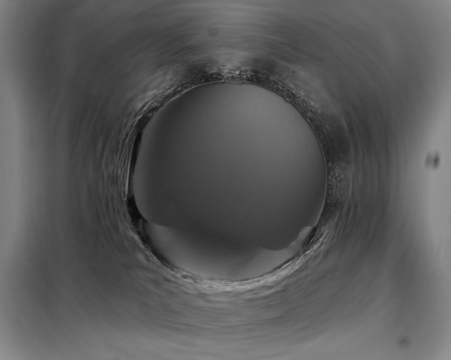 X0000098150039200804171624