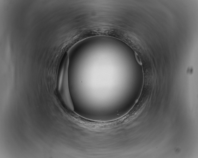 X0000098150040200804171624
