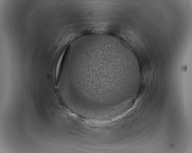 X0000098150041200804171624