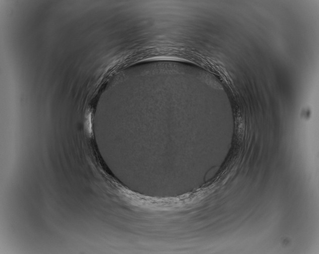 X0000098150042200804171624