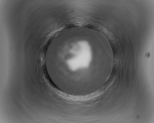 X0000098150043200804171624