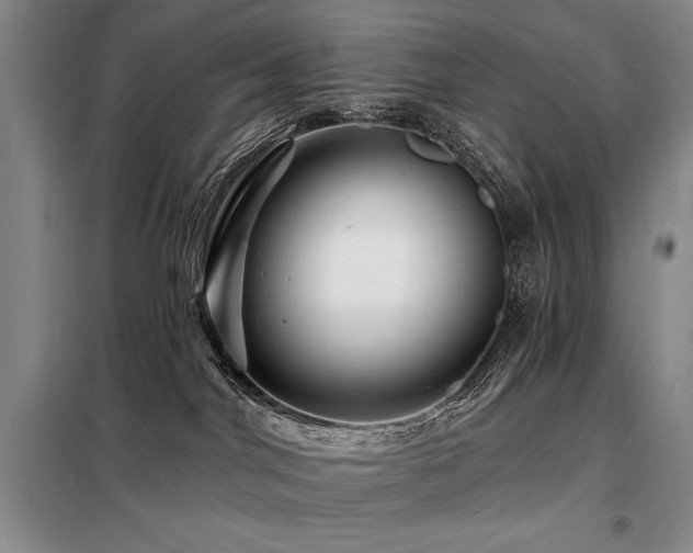 X0000098150044200804171624