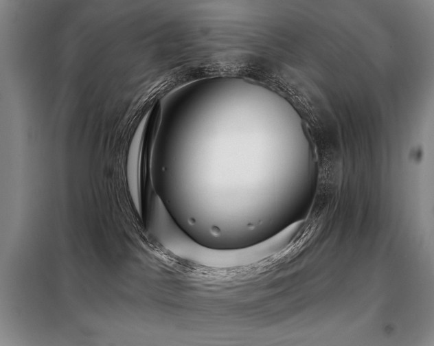X0000098150045200804171624