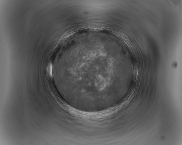 X0000098150046200804171623