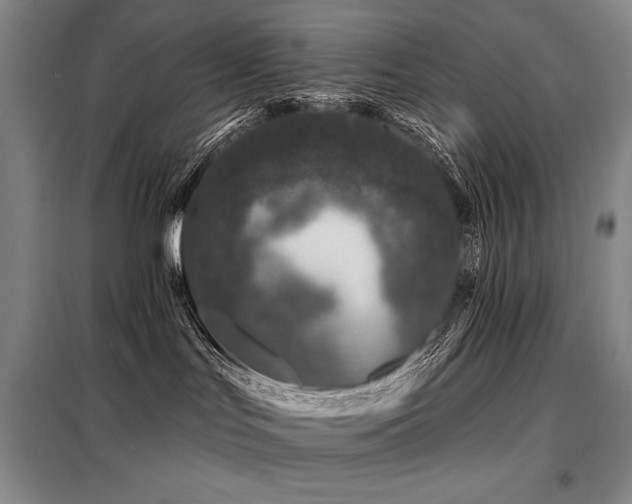 X0000098150047200804171623
