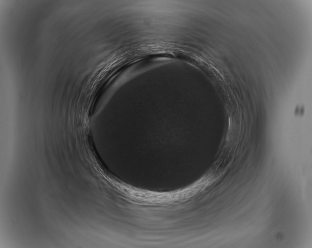 X0000098150048200804171623