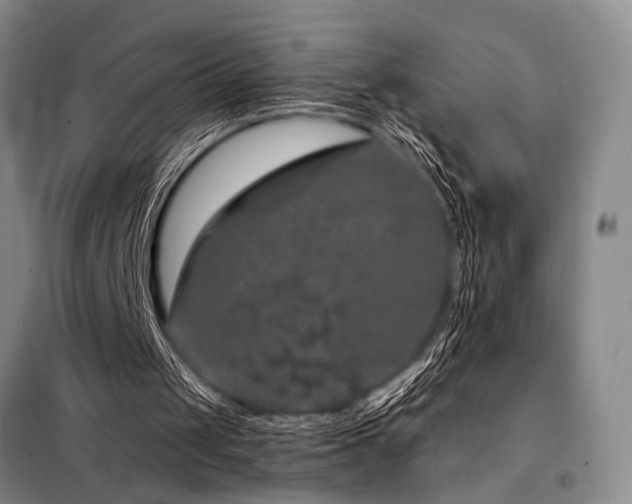 X0000098150049200804171623
