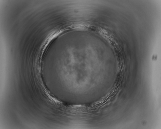 X0000098150050200804171623